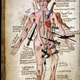 Illustration for article titled What the game of Operation would look like in the Middle Ages
